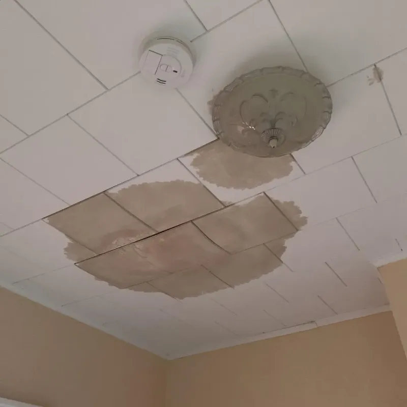 Ceiling Water Damage Repair in Brown Deer, WI