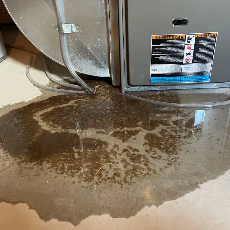 Pipe Burst and Leak Restoration in Brown Deer, WI